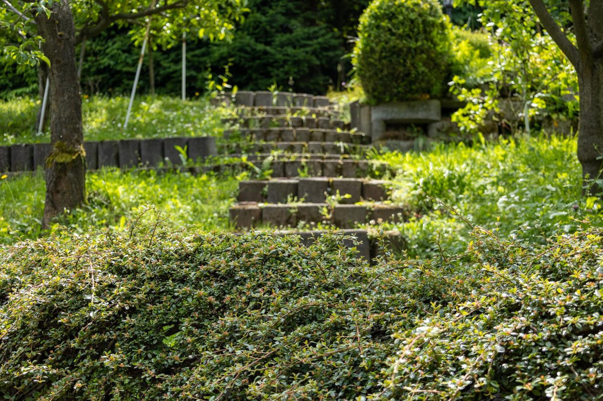Villa Amalia: Spacious Garden Retreat with Fireplace in Banska Stiavnica Exterior photo