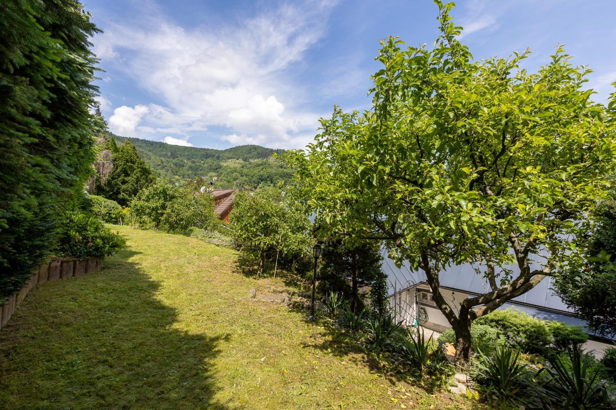Villa Amalia: Spacious Garden Retreat with Fireplace in Banska Stiavnica Exterior photo